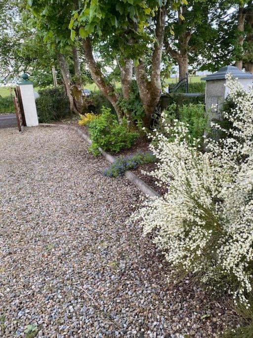 Breathnach Cottage Annex Knockleagha Ballina F26 D7E2 Экстерьер фото